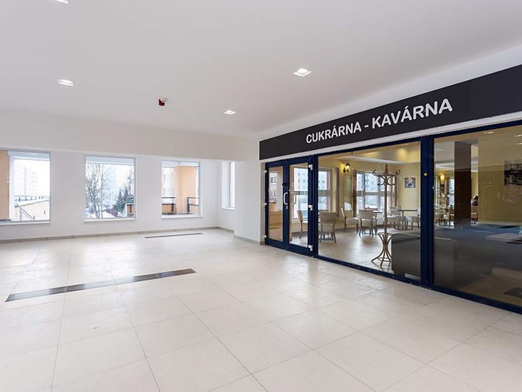 Pronájem obchodního prostoru 100 m² - foto 8