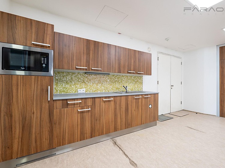 Pronájem kanceláře 239 m² - foto 8