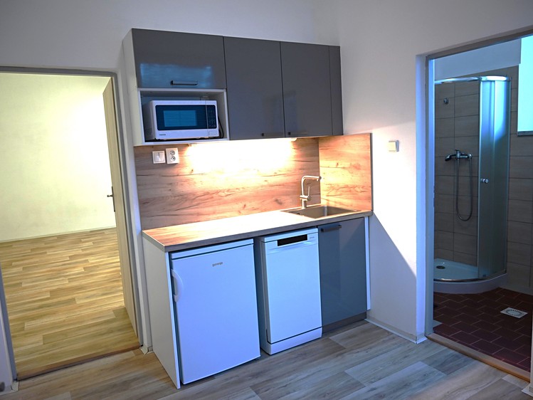 Pronájem výrobní haly, prostoru 249 m² - foto 4