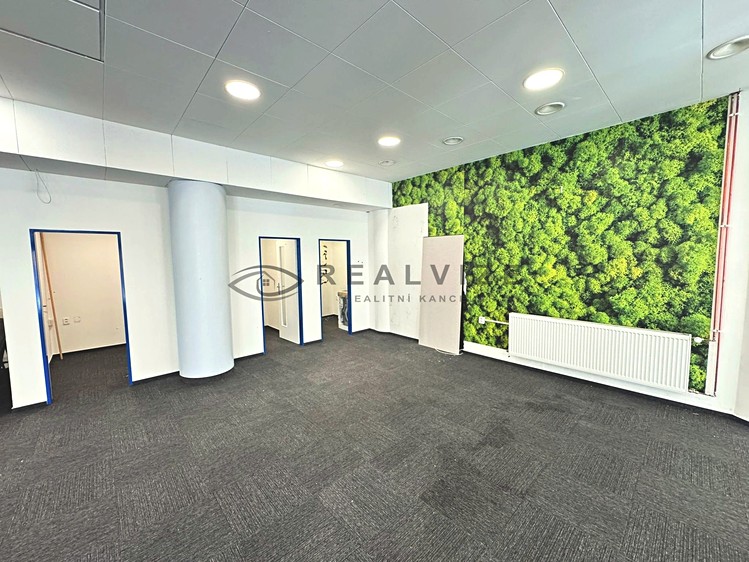 Pronájem obchodního prostoru 147 m² - foto 4