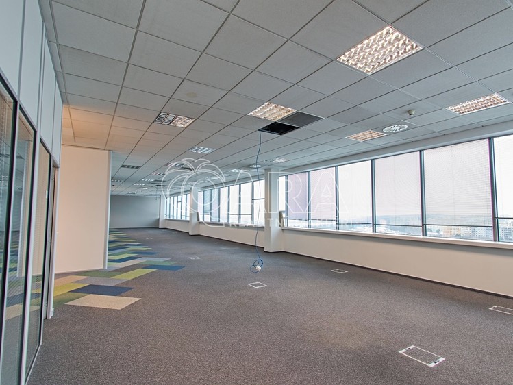 Pronájem kanceláře 500 m² - foto 3