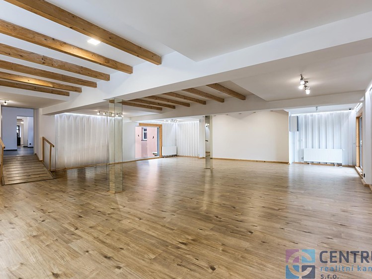 Pronájem obchodního prostoru 243 m² - foto 1