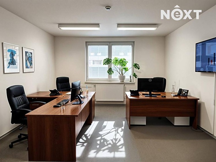 Pronájem kanceláře 114 m² - foto 6