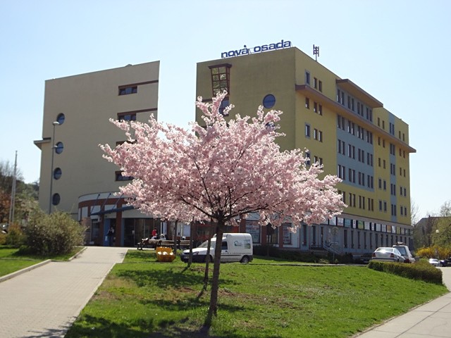 Pronájem kanceláře 23 m² - foto 4