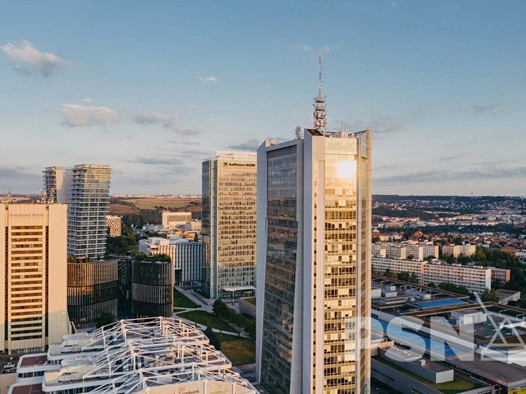 Pronájem kanceláře 266 m² - foto 2