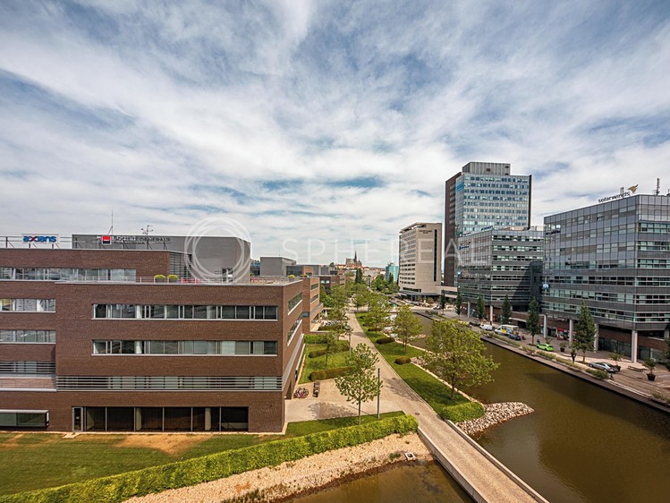 Pronájem kanceláře 527 m² - foto 6