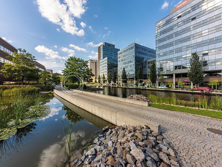 Pronájem kanceláře 527 m² - foto 5