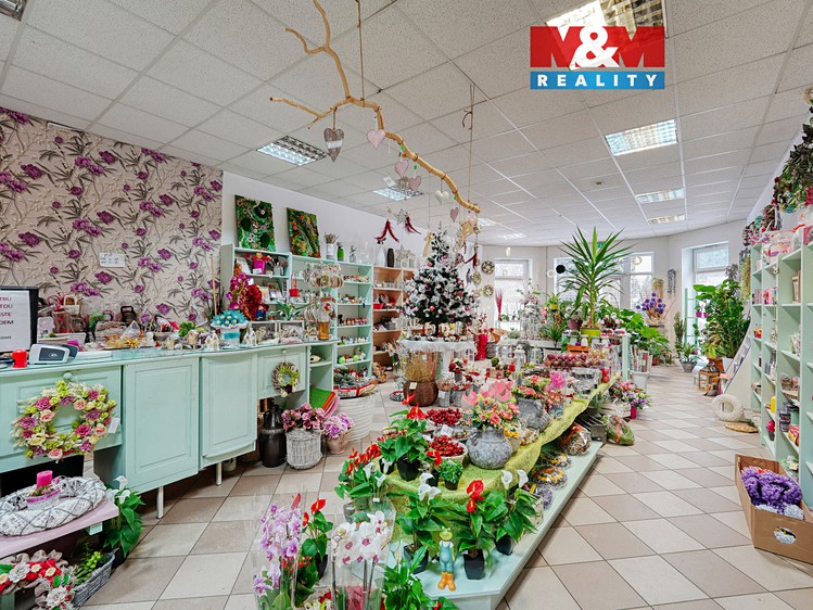 Pronájem obchodního prostoru 133 m² - foto 1
