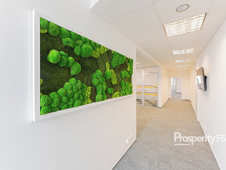 Pronájem kanceláře 28 m² - foto 8