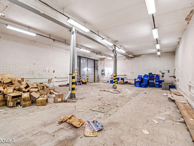 Pronájem komerční nemovitosti 5 199 m² - foto 6