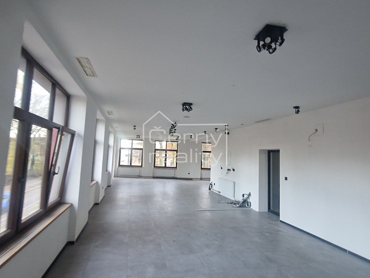 Pronájem obchodního prostoru 180 m² - foto 3