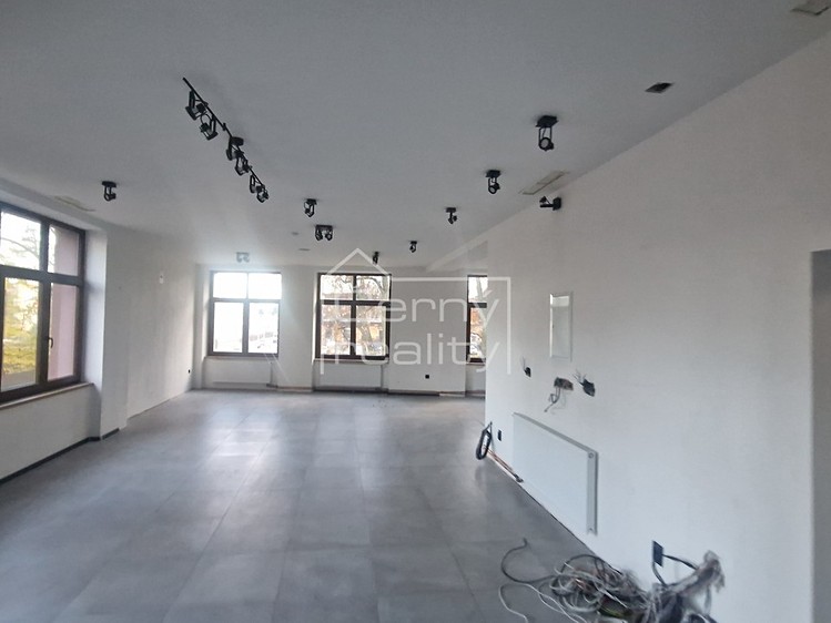 Pronájem obchodního prostoru 180 m² - foto 6