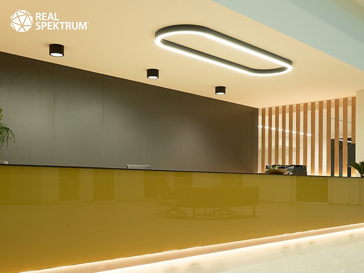 Pronájem kanceláře 297 m² - foto 2