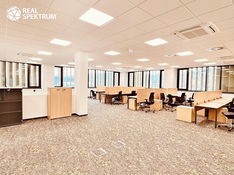 Pronájem kanceláře 297 m² - foto 4
