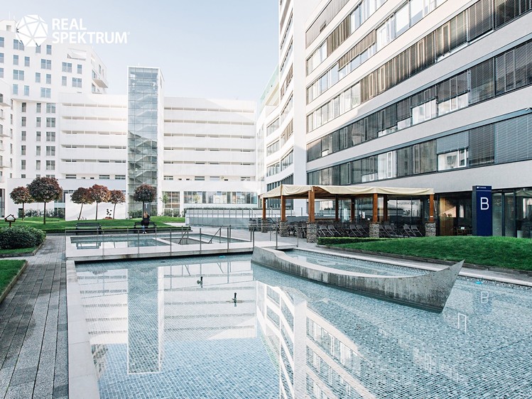 Pronájem kanceláře 220 m² - foto 2