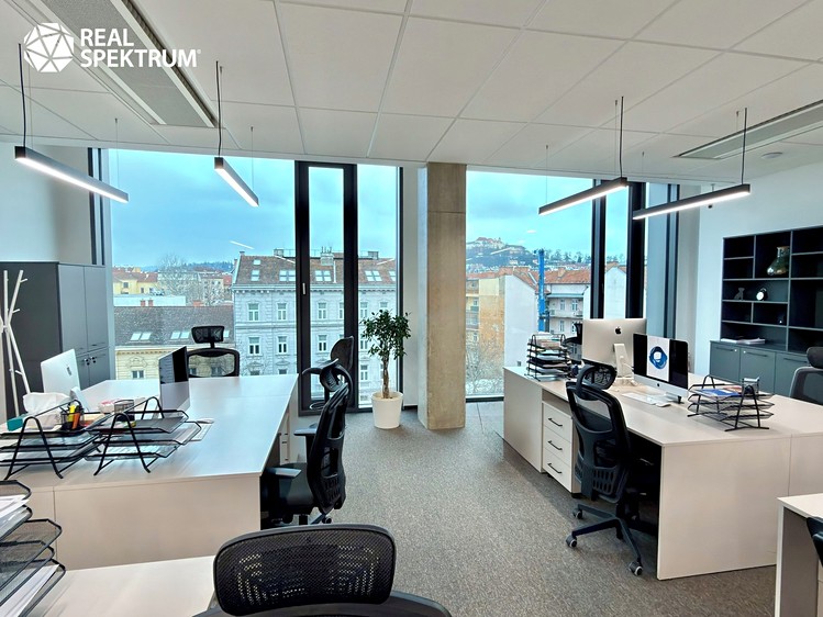Pronájem kanceláře 220 m² - foto 5