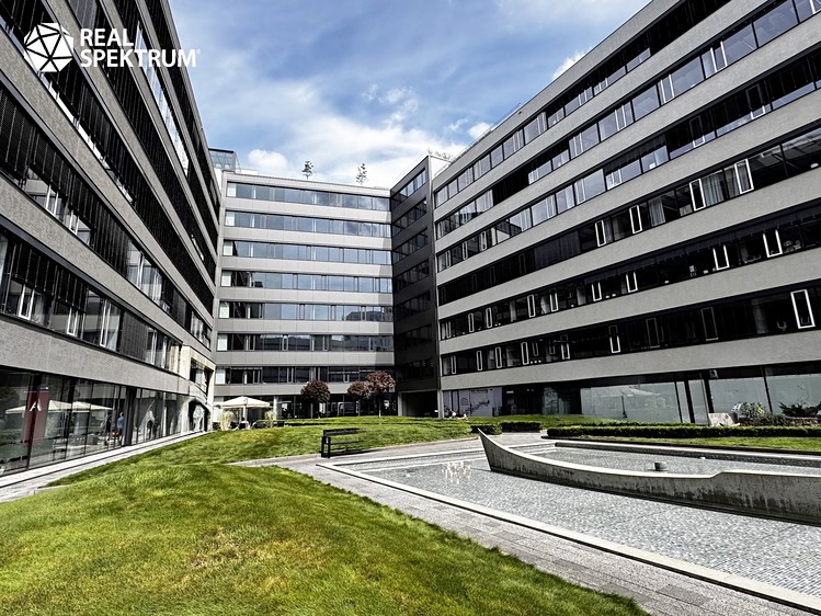 Pronájem kanceláře 660 m² - foto 8