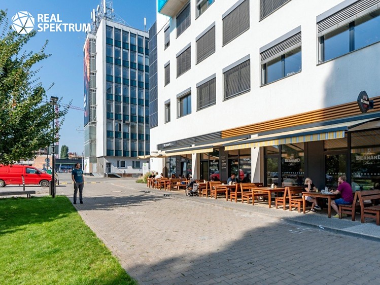 Pronájem obchodního prostoru 325 m² - foto 8