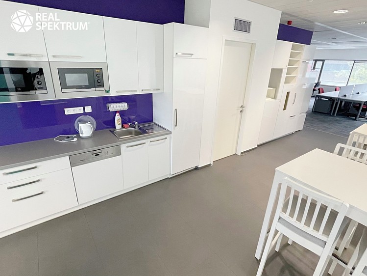 Pronájem kanceláře 872 m² - foto 4