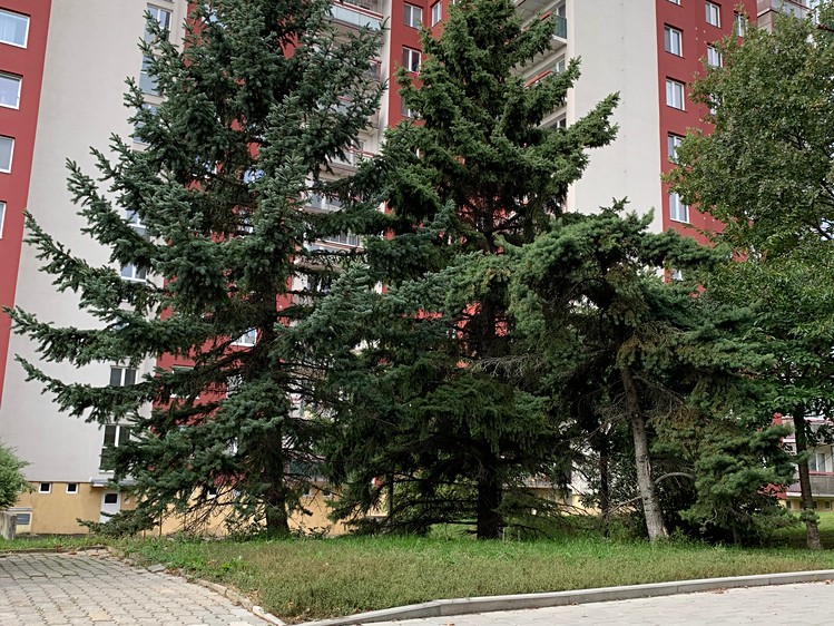 Pronájem obchodního prostoru 16 m² - foto 6