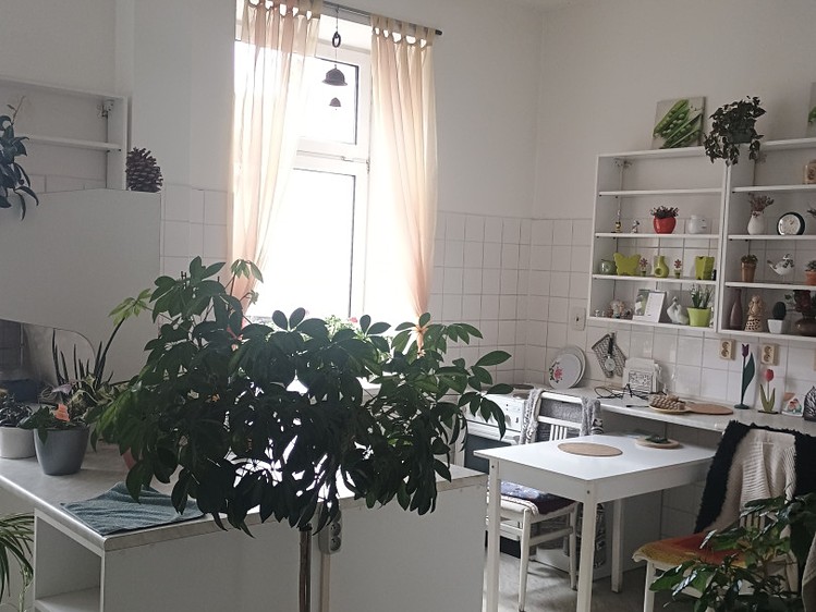 Pronájem obchodního prostoru 270 m² - foto 3