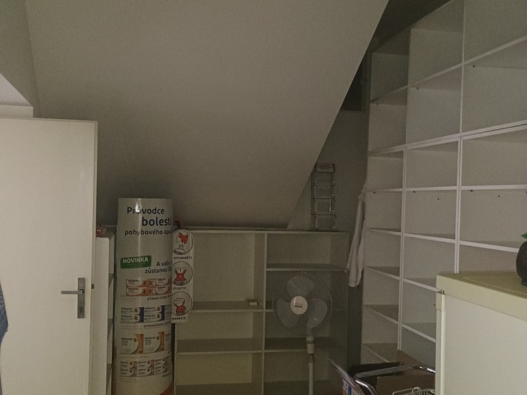 Pronájem obchodního prostoru 270 m² - foto 7