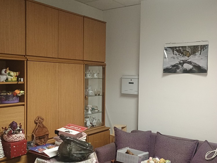 Pronájem obchodního prostoru 270 m² - foto 6