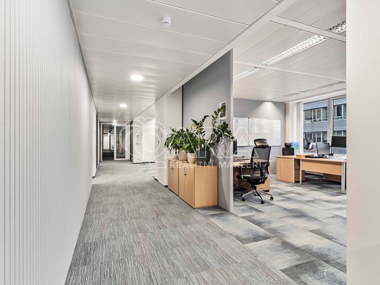 Pronájem kanceláře 236 m² - foto 8