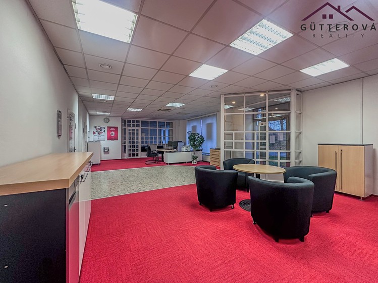 Pronájem kanceláře 172 m² - foto 4