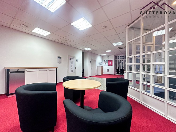 Pronájem kanceláře 172 m² - foto 3