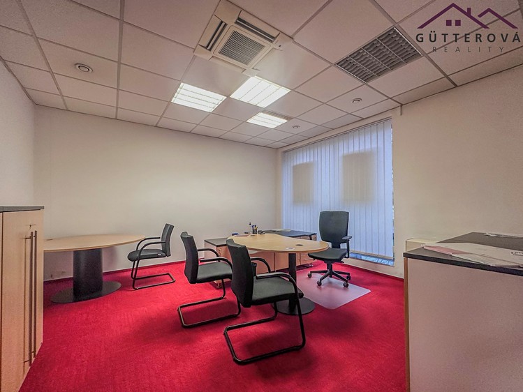 Pronájem kanceláře 172 m² - foto 5