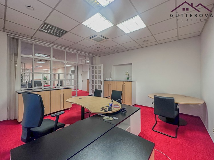 Pronájem kanceláře 172 m² - foto 6