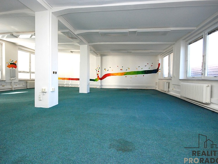 Pronájem obchodního prostoru 150 m² - foto 6