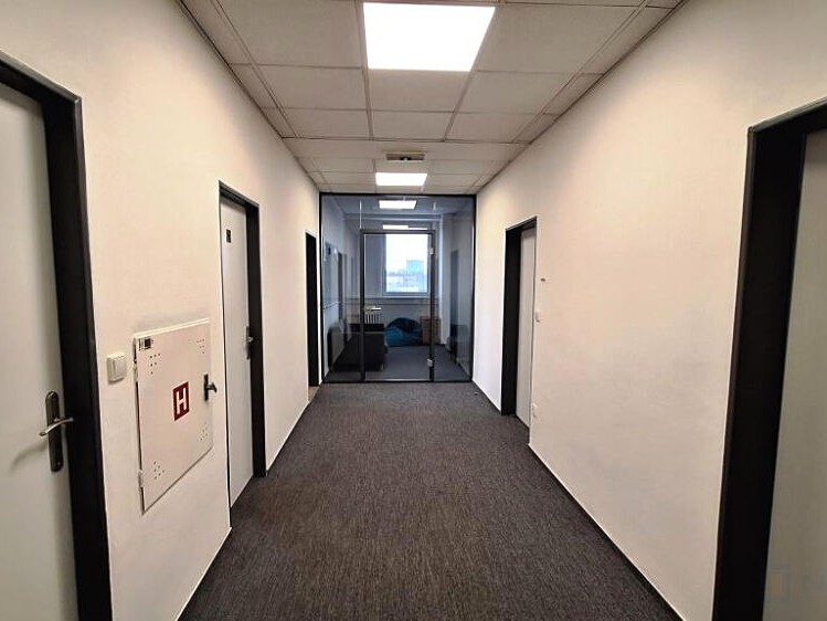 Pronájem kanceláře 323 m² - foto 6