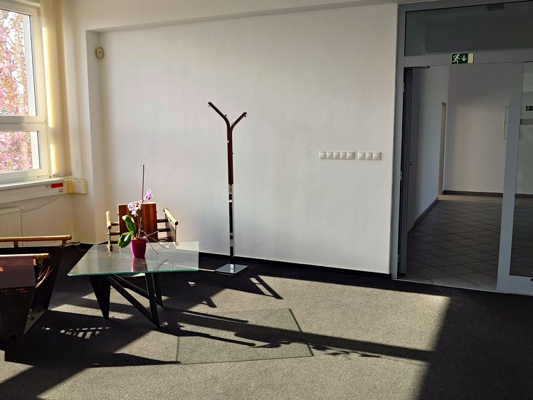 Pronájem kanceláře 492 m² - foto 5
