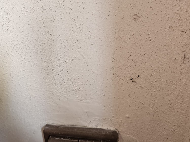 Prodej garáže 21 m² - foto 6
