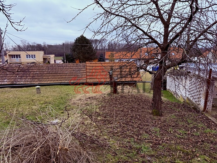 Prodej vinného sklepa 34 m² - foto 6