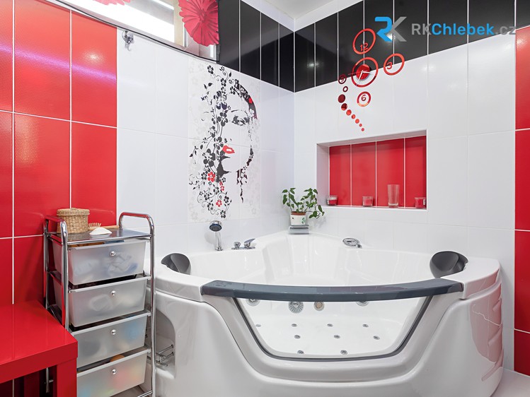 Prodej specifického typu nemovitosti 345 m² - foto 8