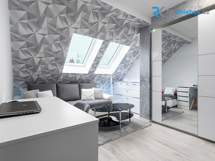 Prodej specifického typu nemovitosti 345 m² - foto 6