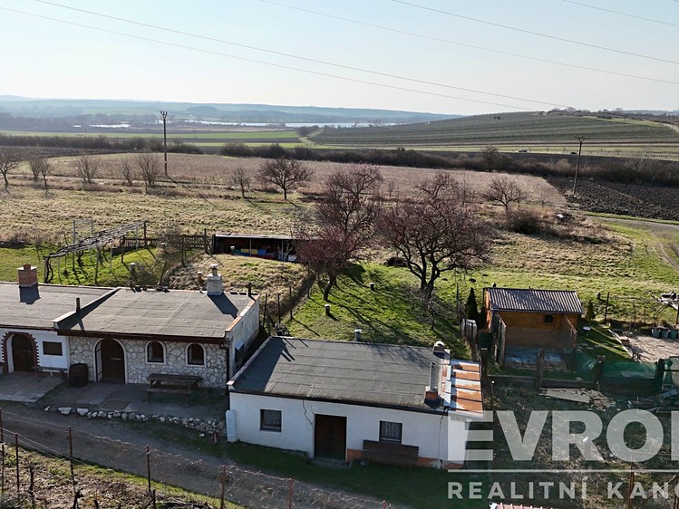 Prodej vinného sklepa 76 m² - foto 3