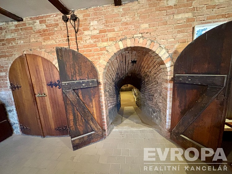 Prodej vinného sklepa 76 m² - foto 6