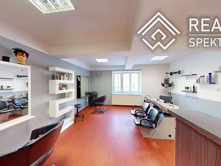 Prodej specifického typu nemovitosti 110 m² - foto 4