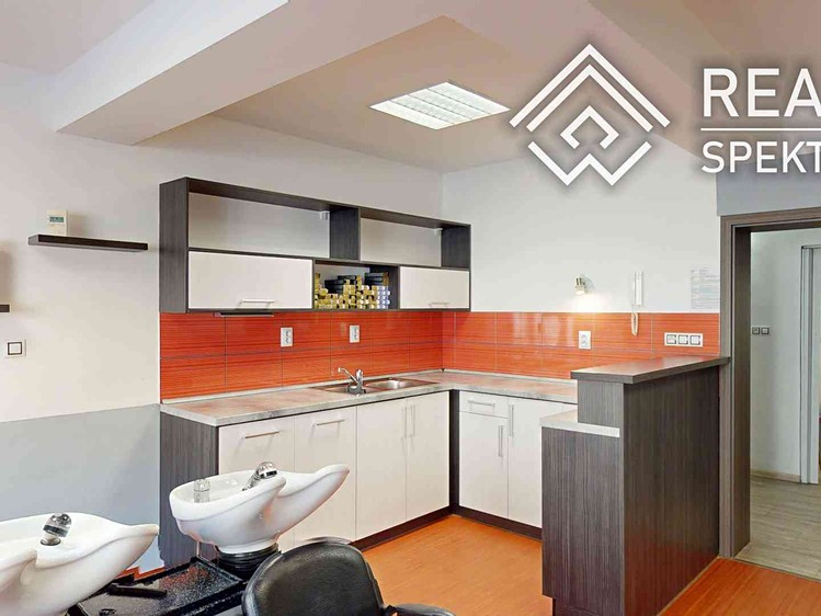 Prodej specifického typu nemovitosti 110 m² - foto 1