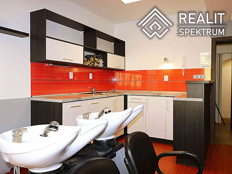 Prodej specifického typu nemovitosti 110 m² - foto 8