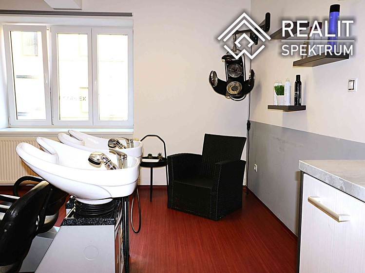 Prodej specifického typu nemovitosti 110 m² - foto 7