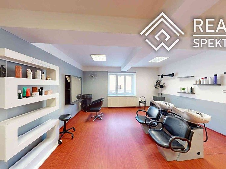 Prodej specifického typu nemovitosti 110 m² - foto 5