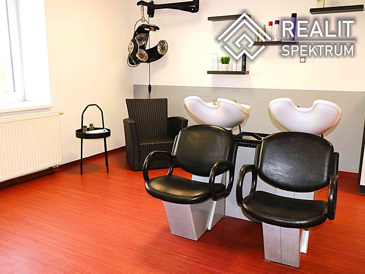 Prodej specifického typu nemovitosti 110 m² - foto 6
