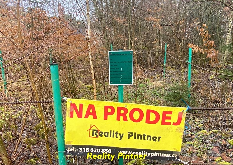 Prodej specifického typu nemovitosti 3 157 m² - foto 8