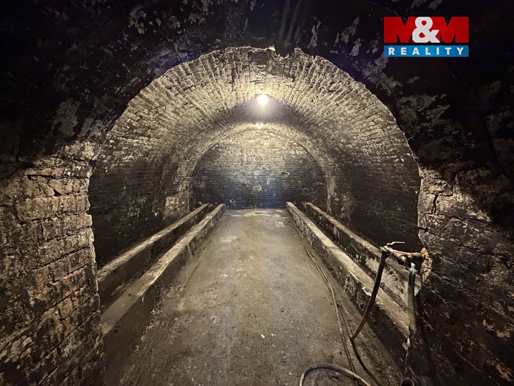 Prodej specifického typu nemovitosti 72 m² - foto 4