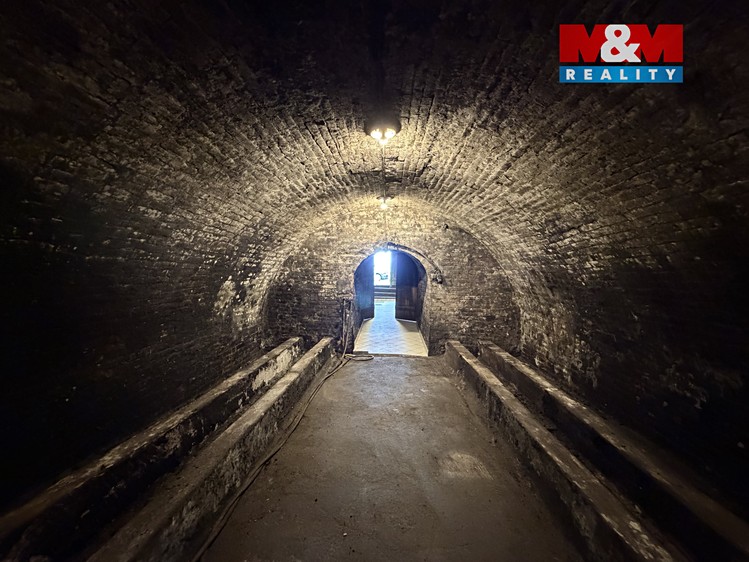 Prodej specifického typu nemovitosti 72 m² - foto 6